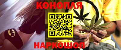 сатива Ставрополь