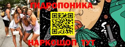 сатива Ставрополь