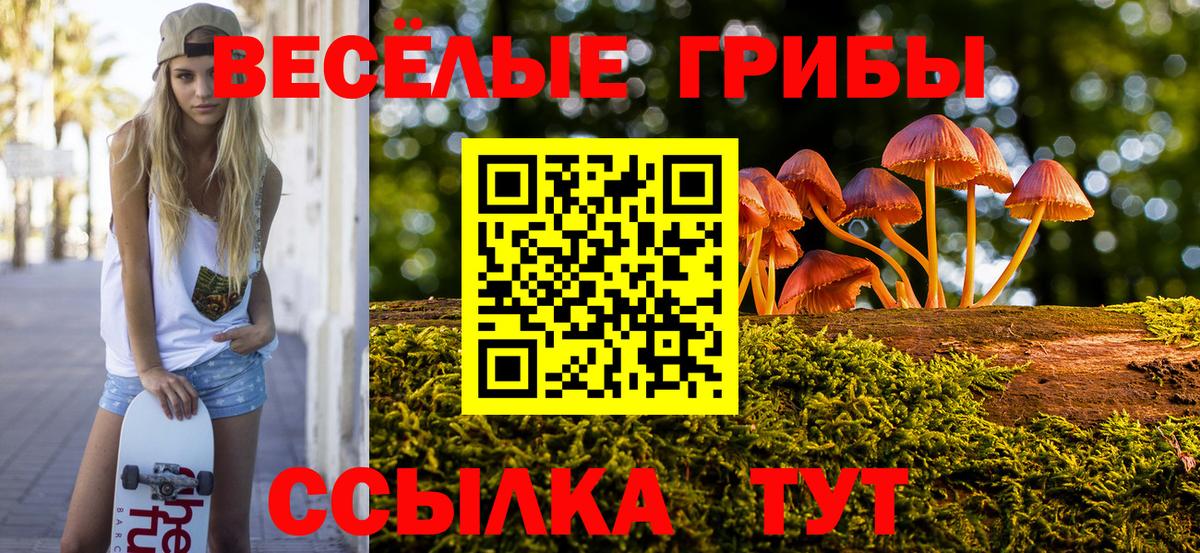 Можга  Галлюциногенные грибы Cubensis  Вход с VPN 